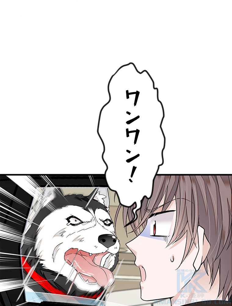 P49