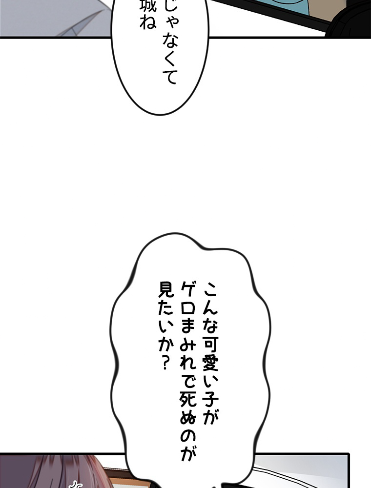 P66
