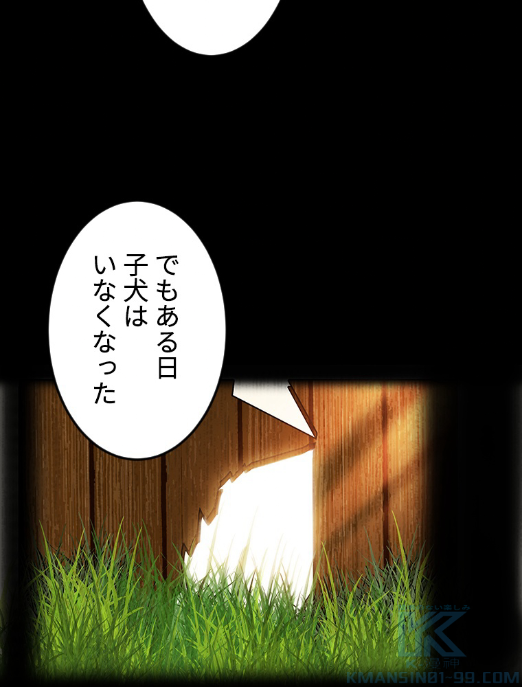 P58