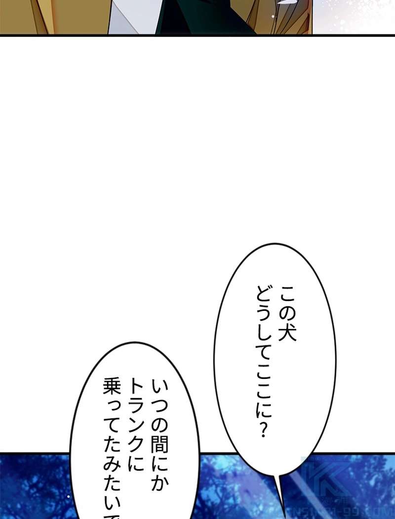 P40