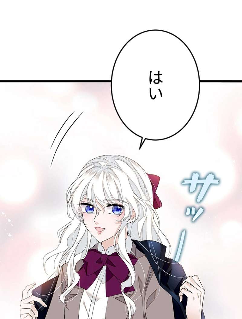 P66