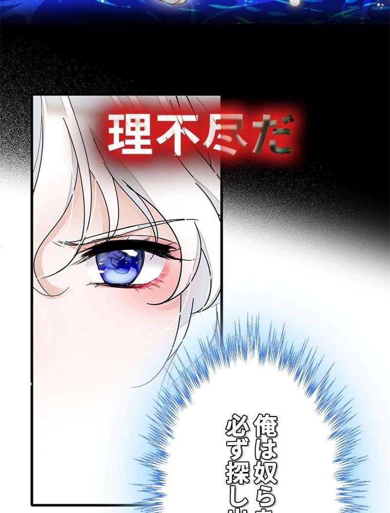 P65