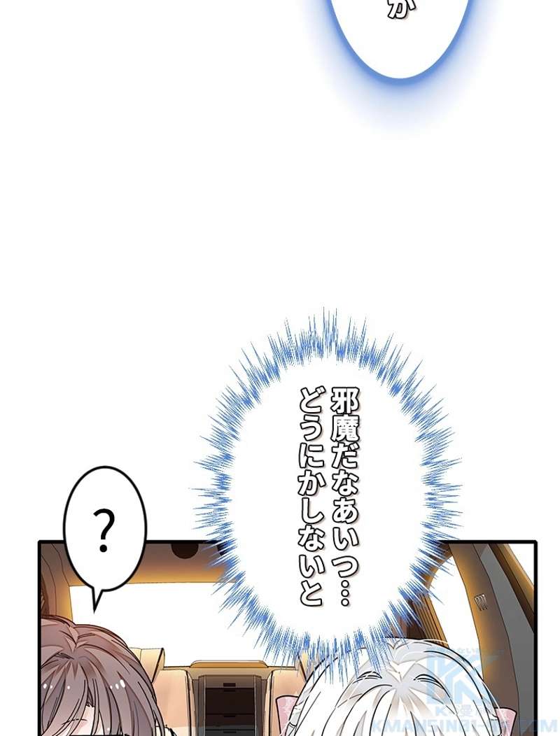 P61