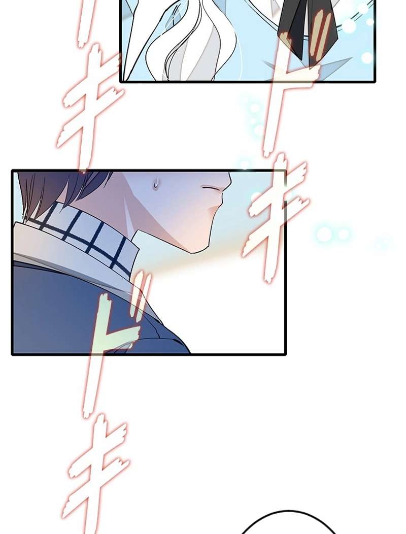 P63