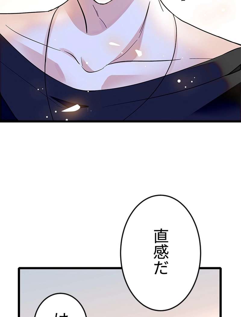 P24