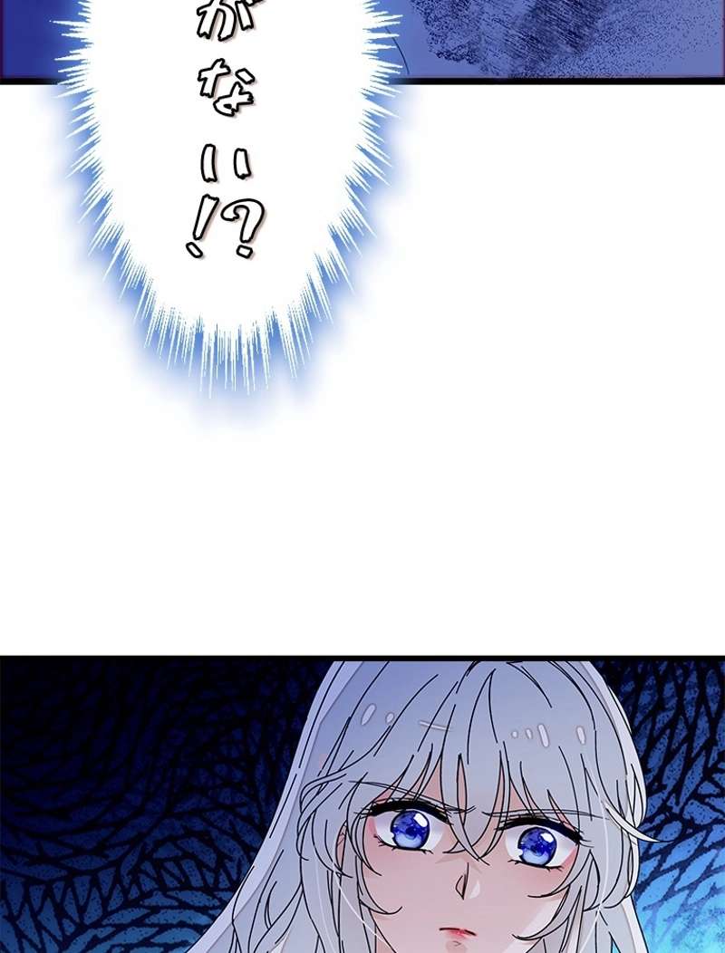 P44