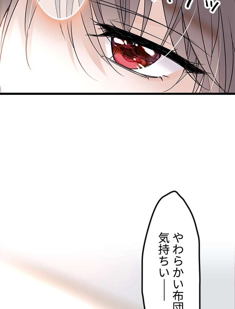 P53
