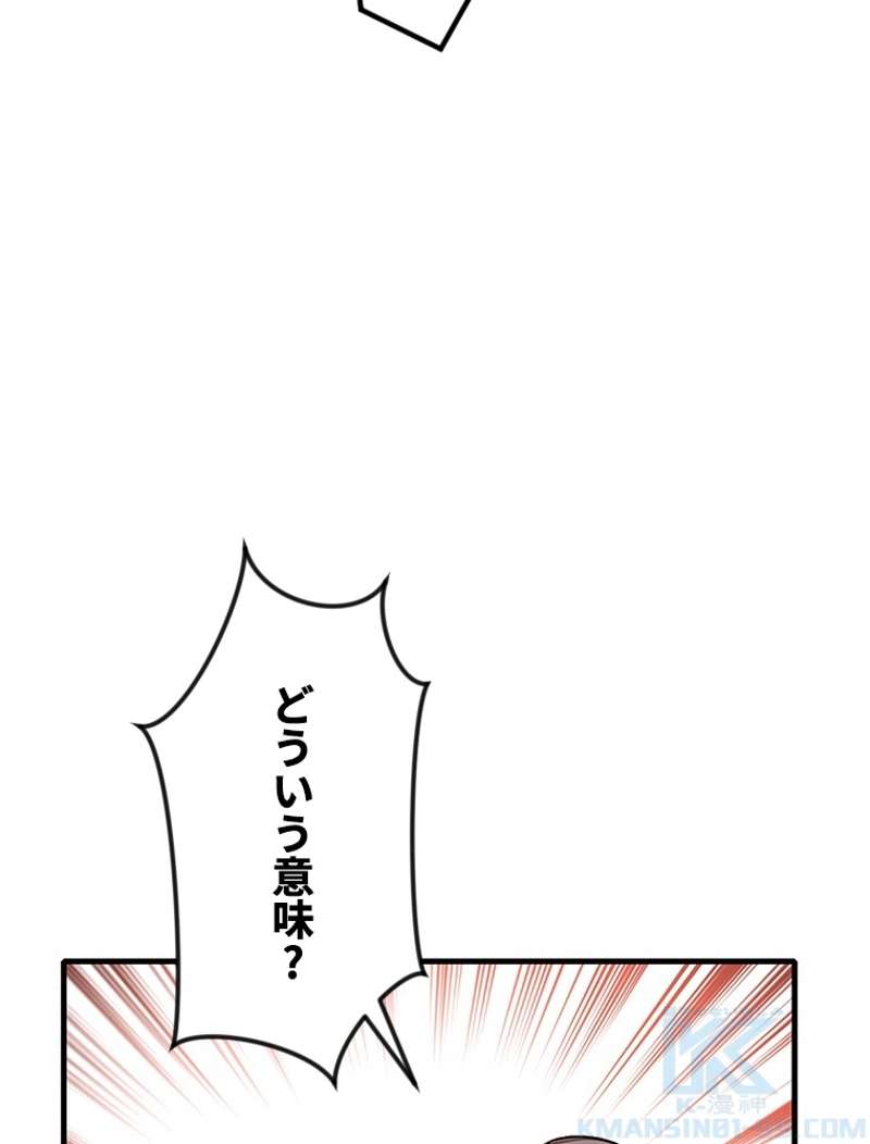 P58