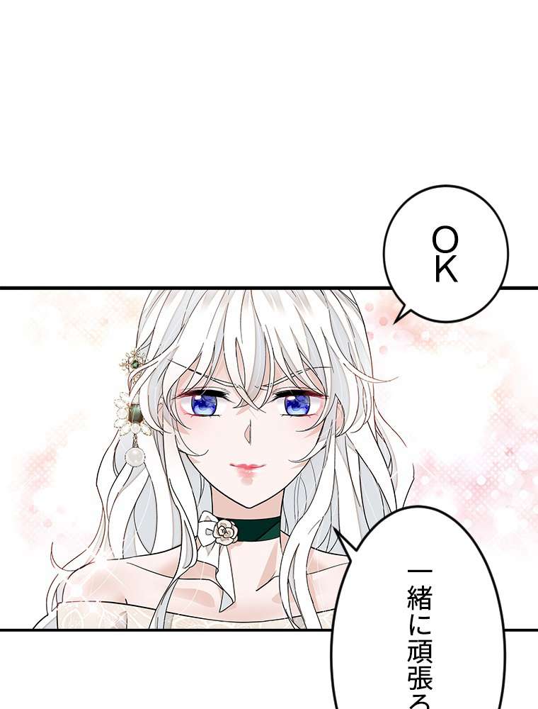 P53