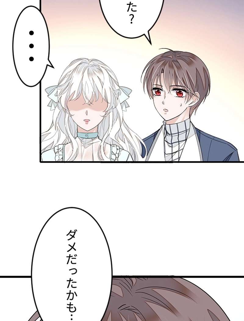 P66