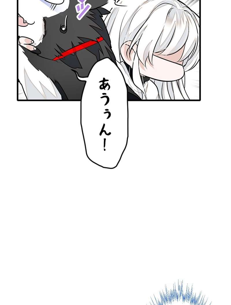 P41