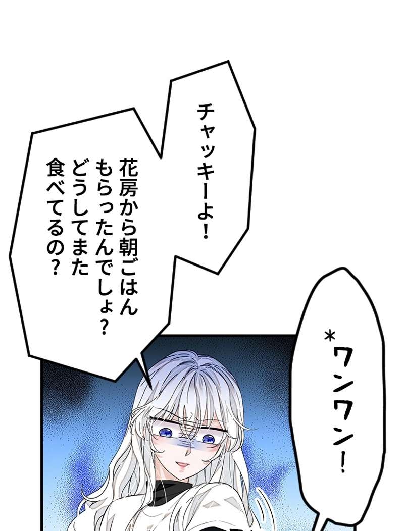 P48