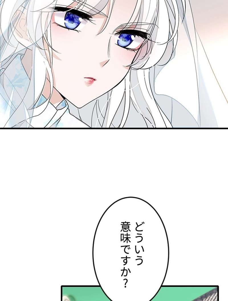 P24
