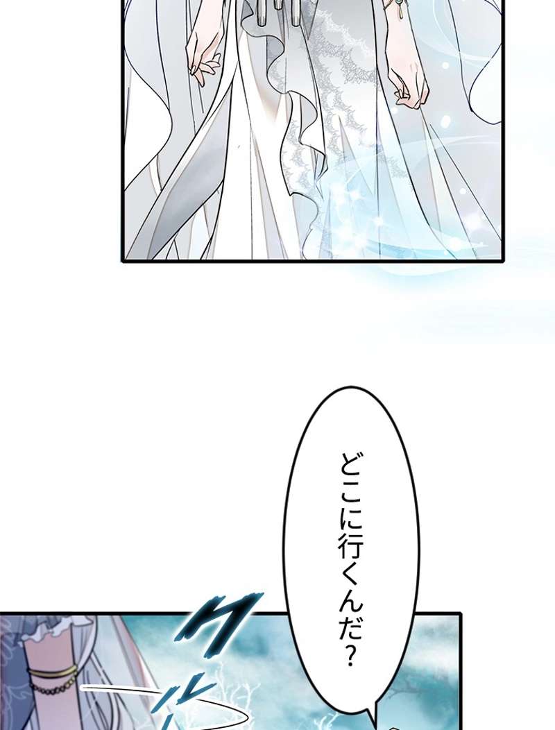 P66