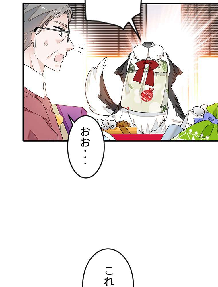 P51