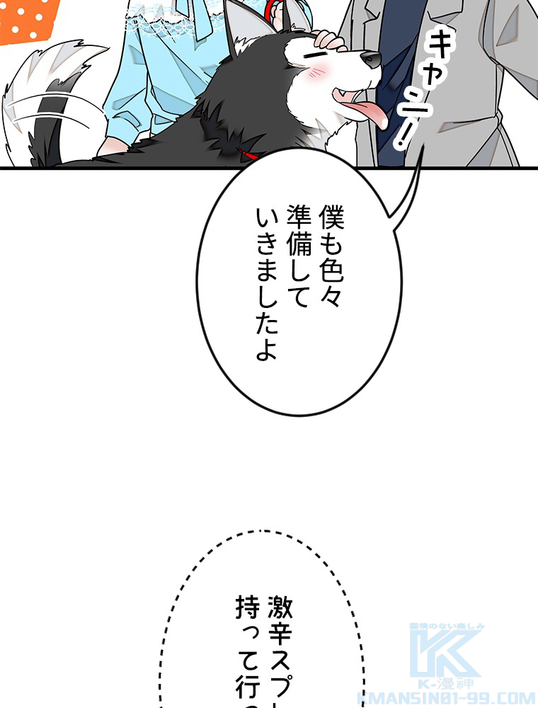 P40