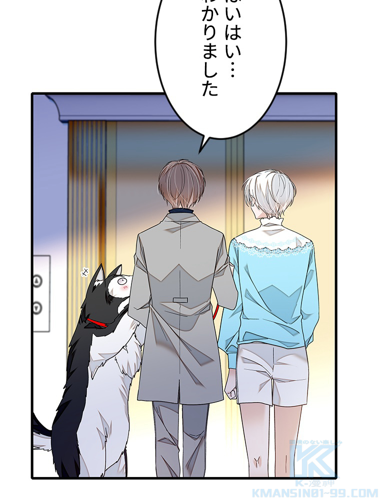 P43