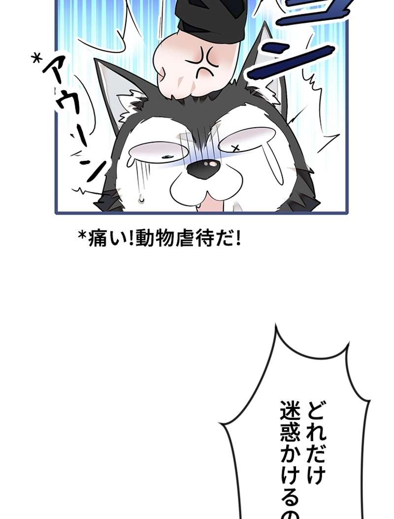 P48