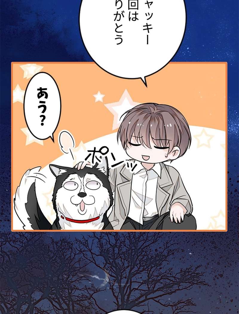 P66
