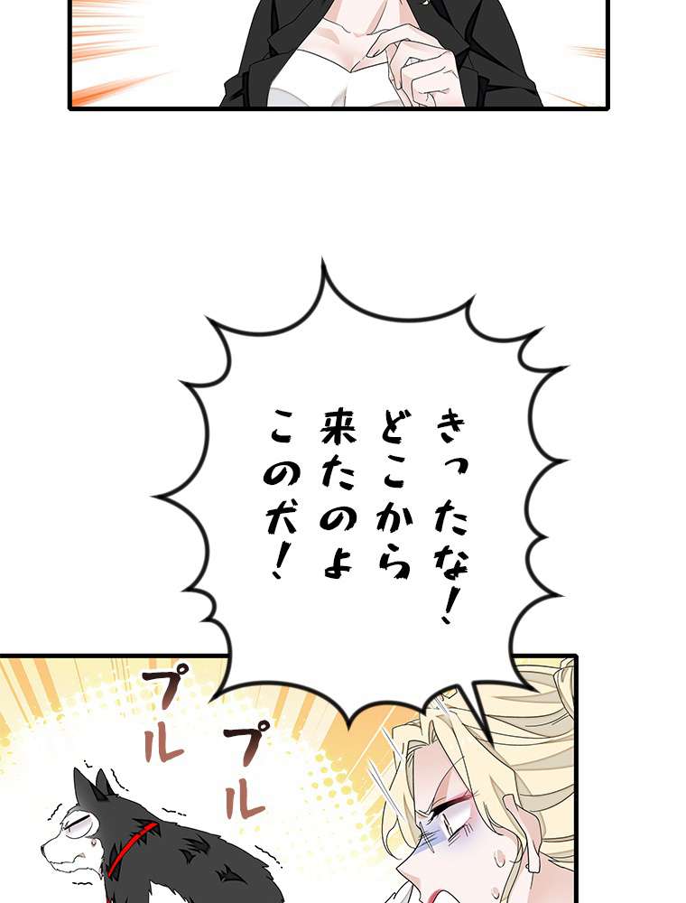 P39