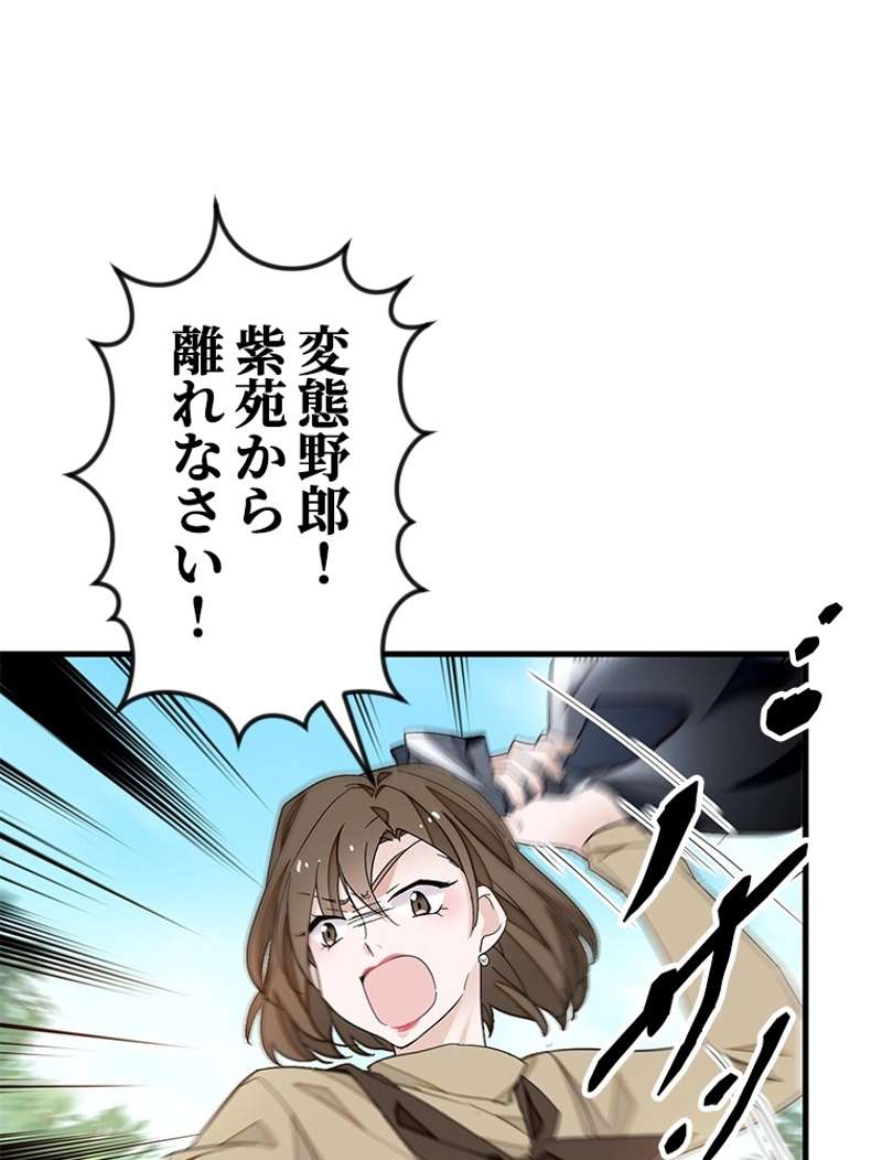 P53