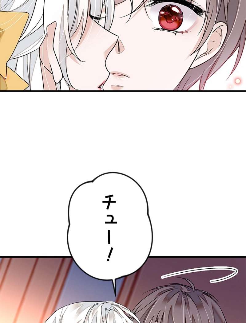 P53