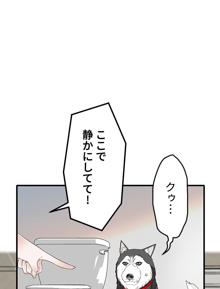 P44