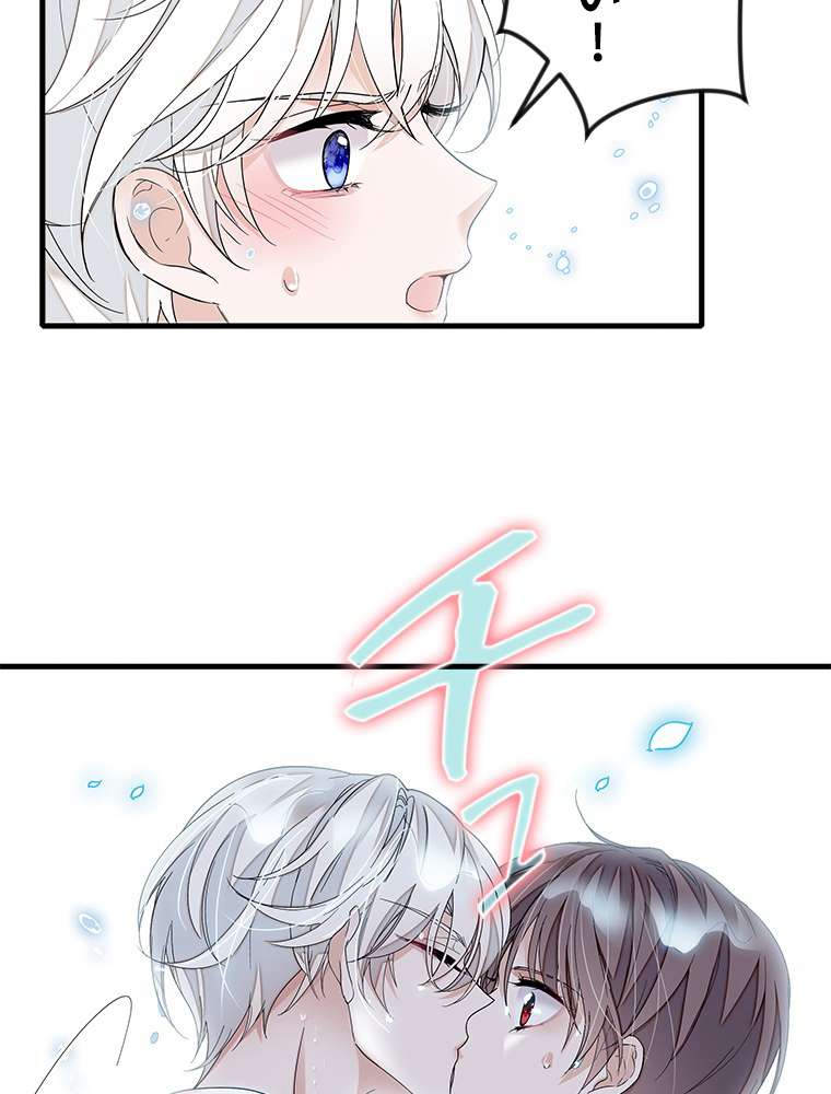 P48