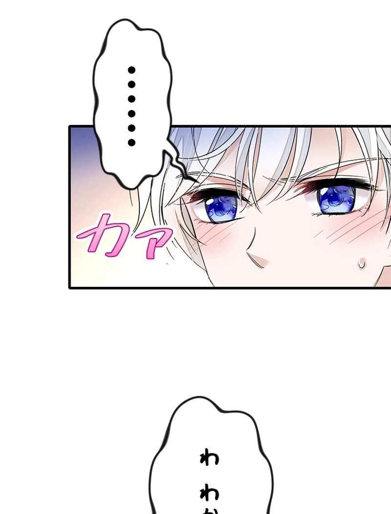 P53