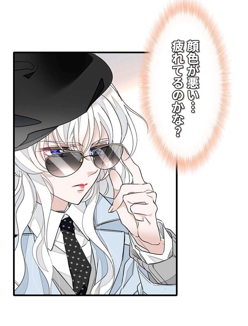 P53