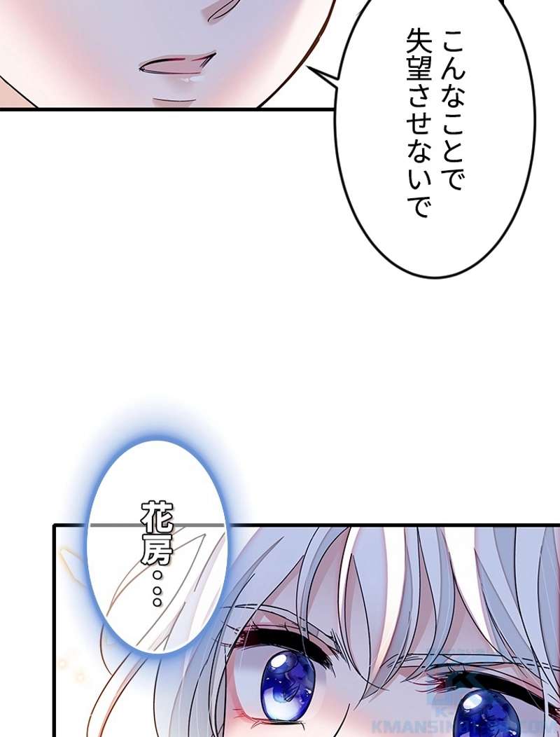 P61