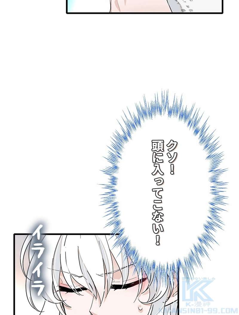 P61