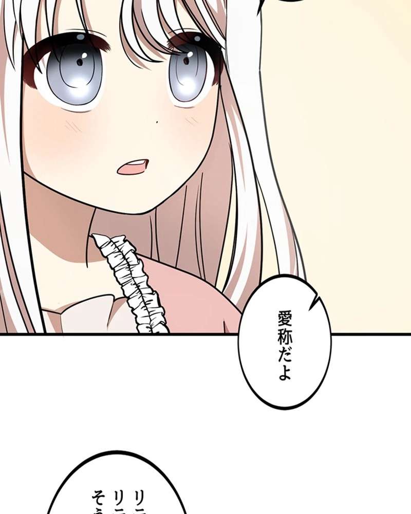 P58