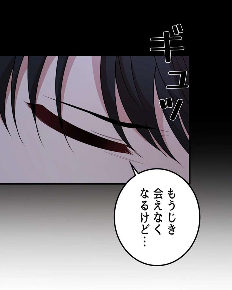P53