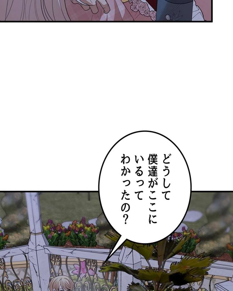 P81