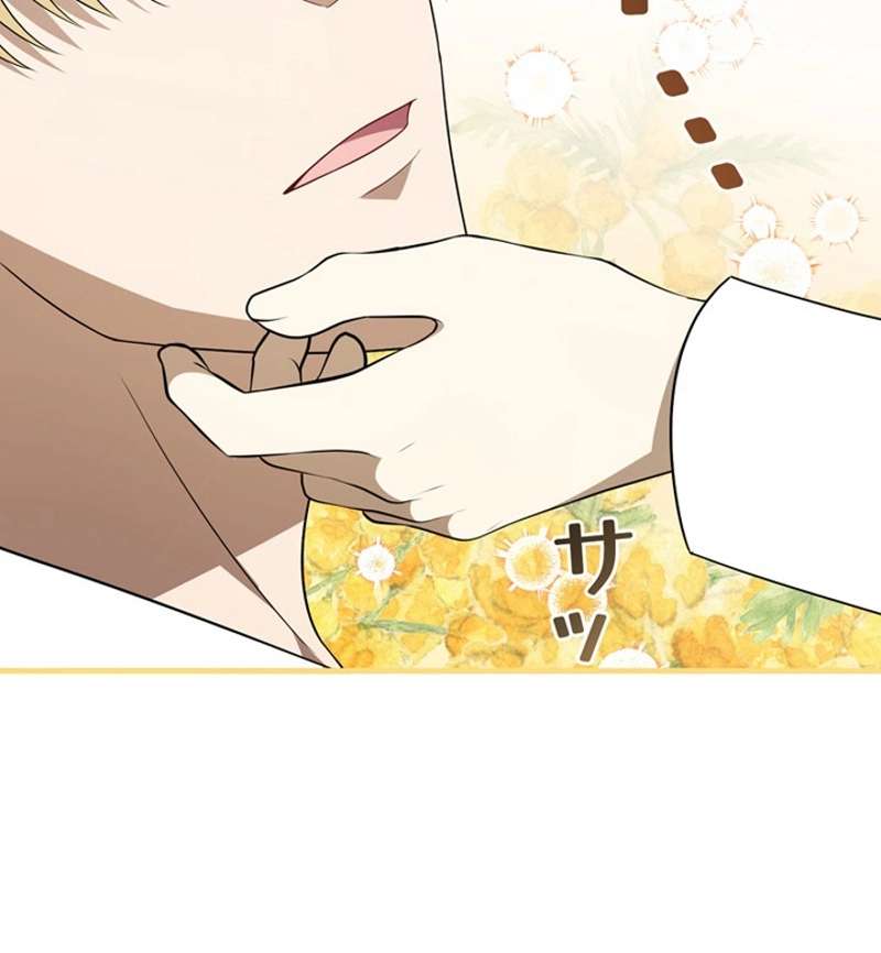 P63