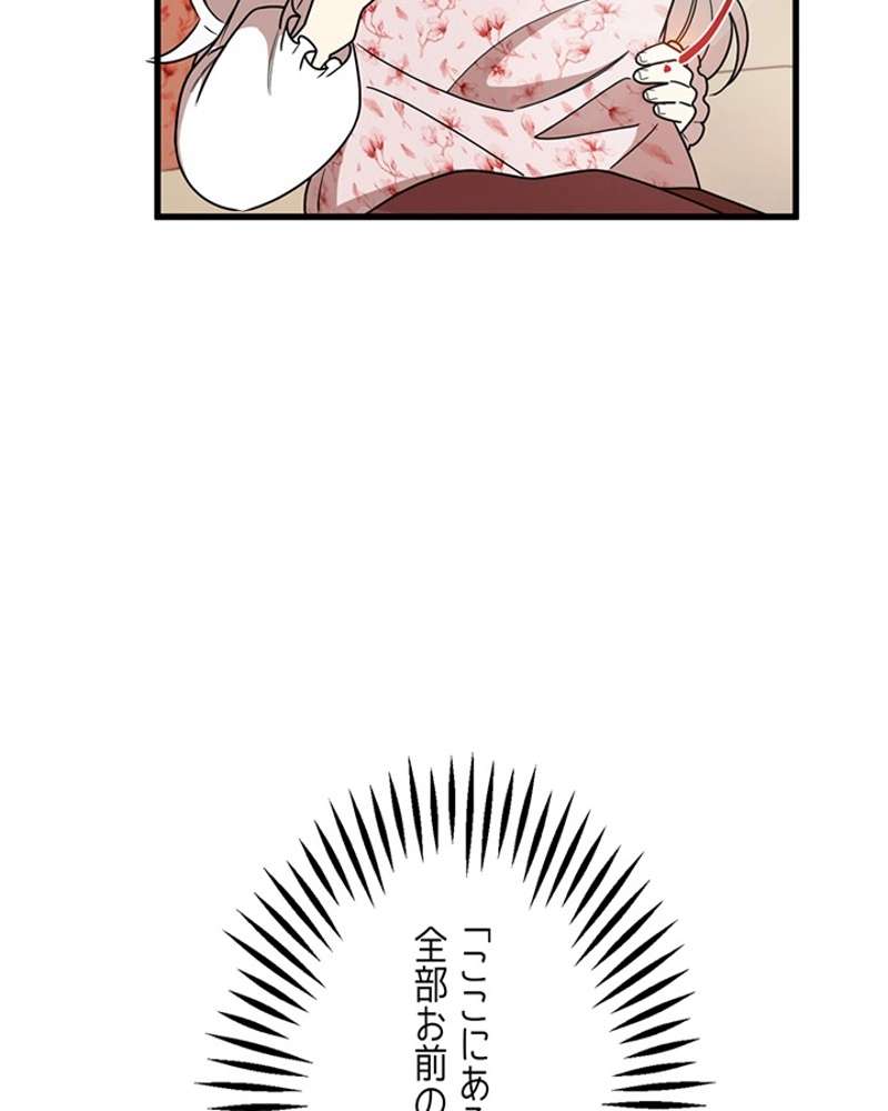 P58