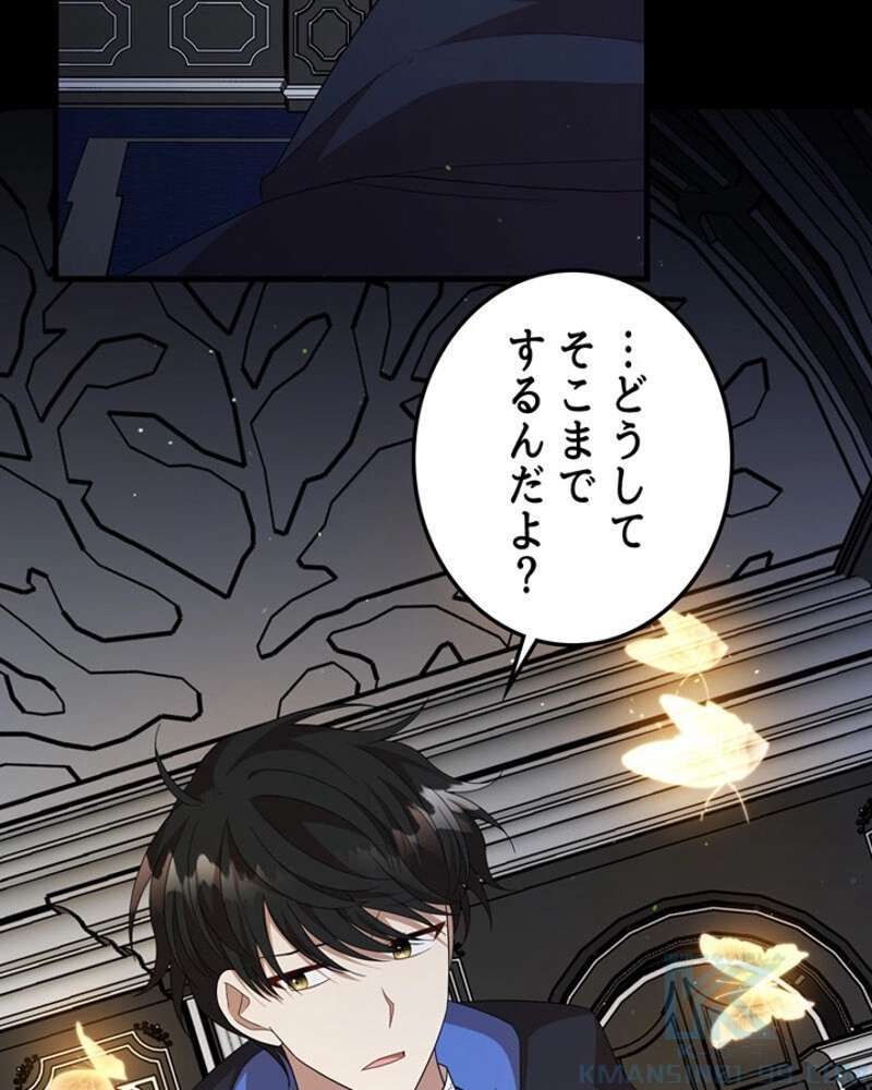 P41