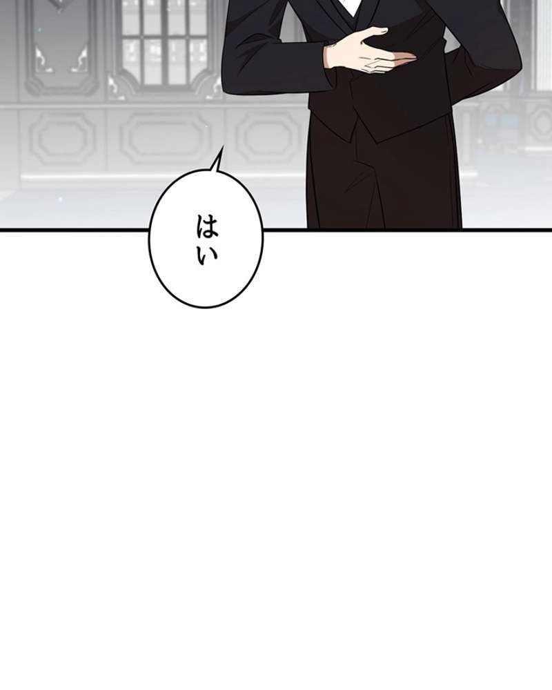 P63