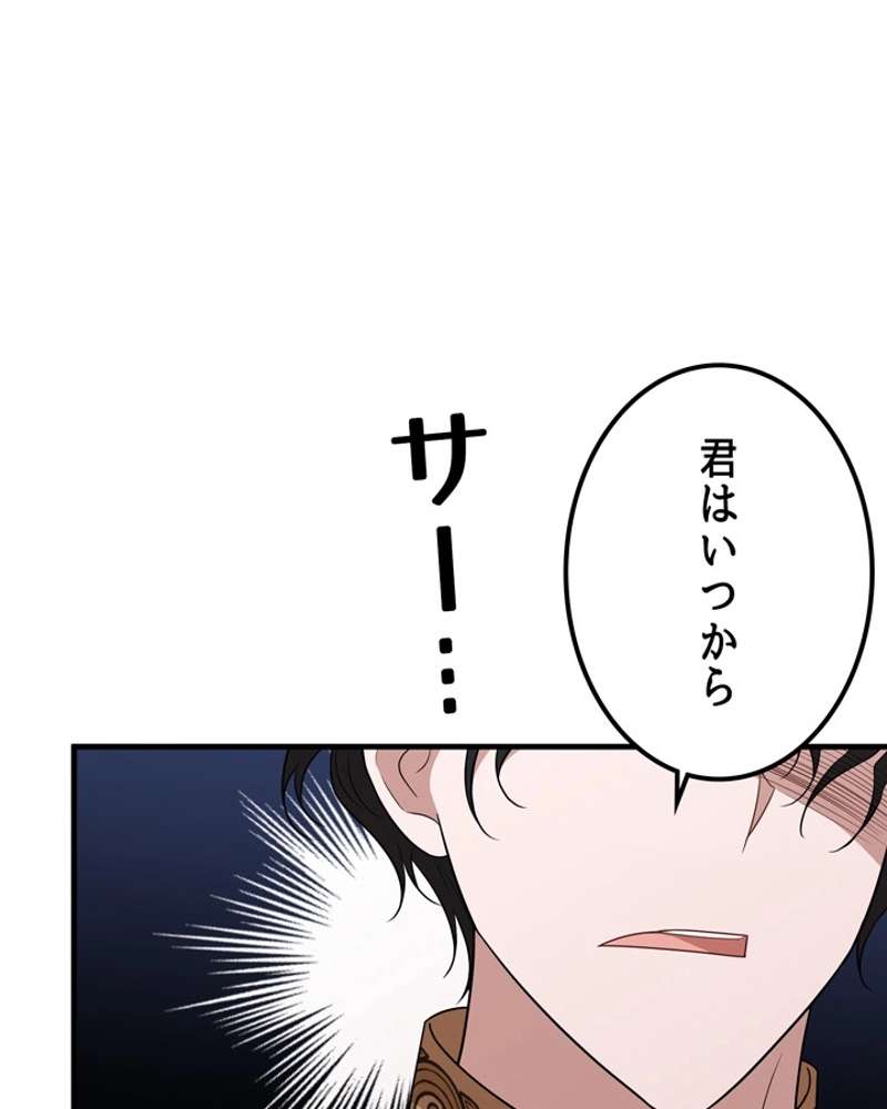 P81