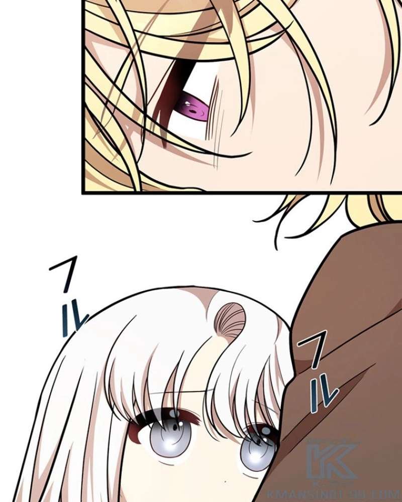 P53
