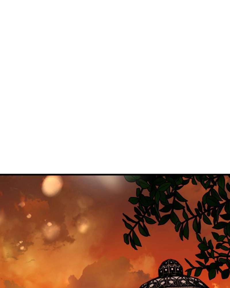 P63