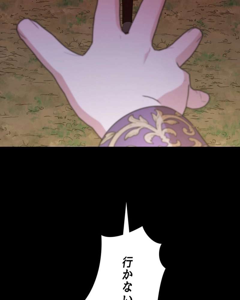 P113