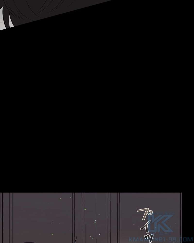 P61