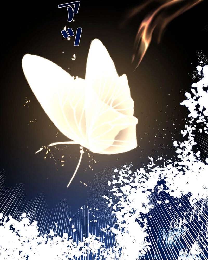 P53