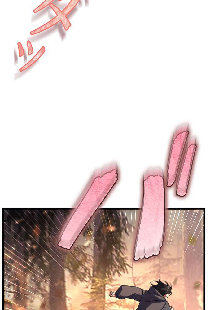 P113