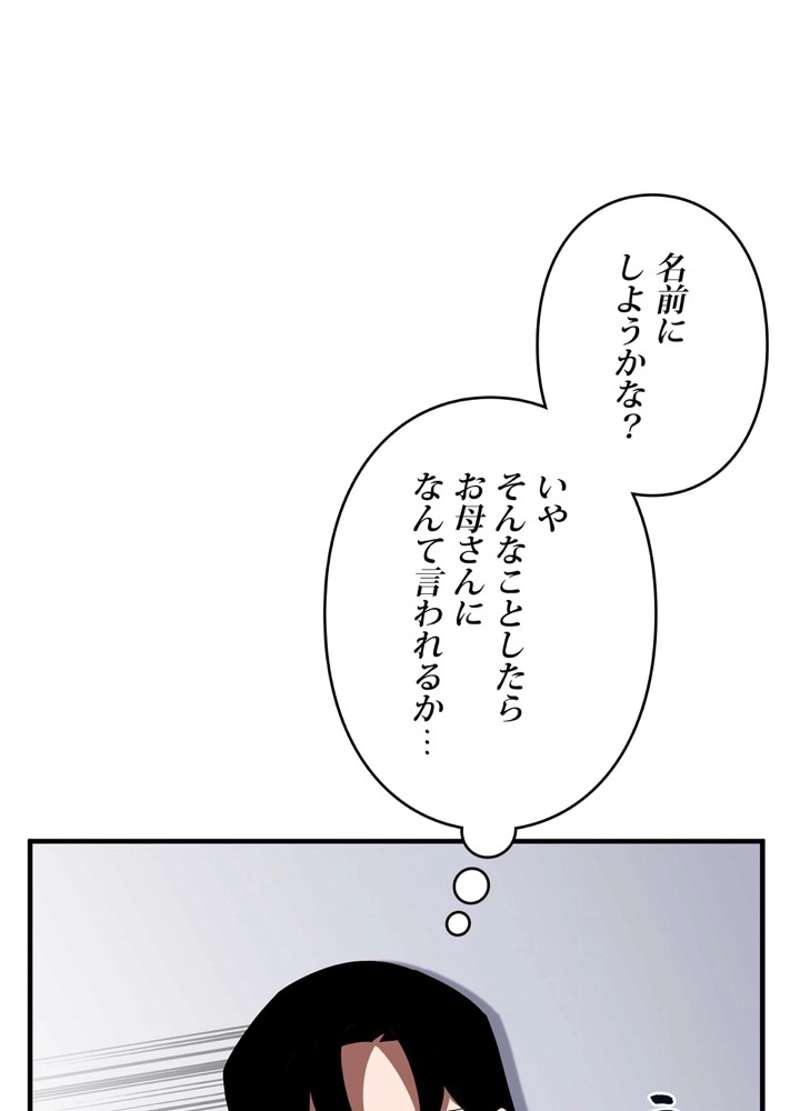 P84