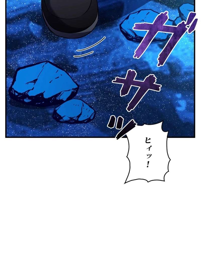 P66