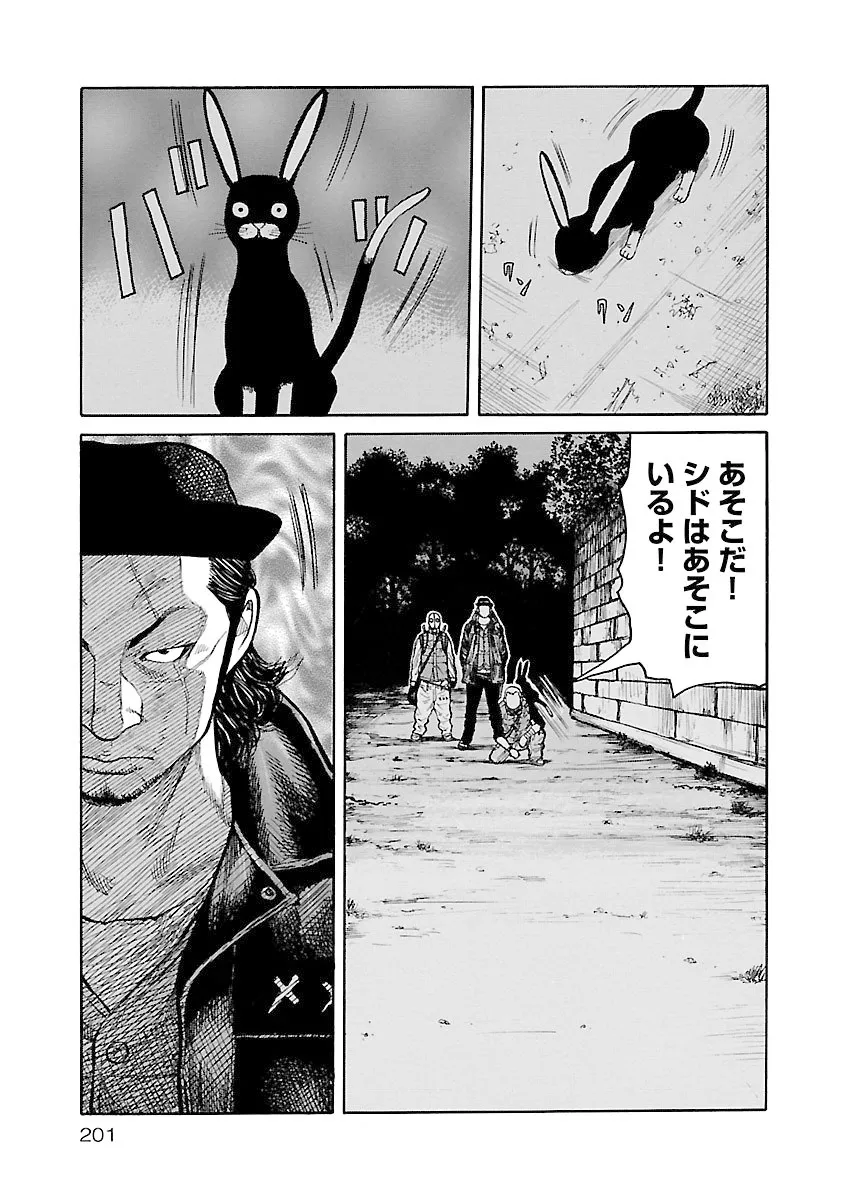 P21