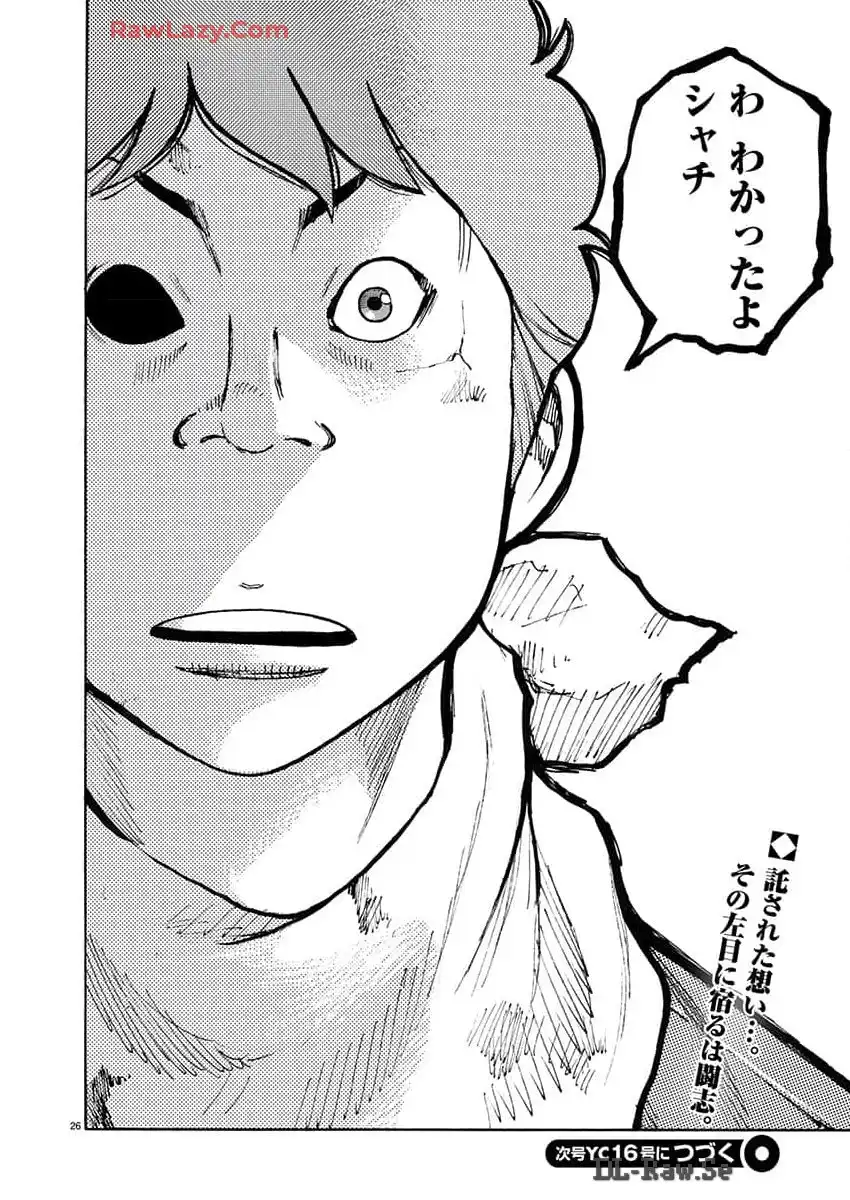 P26